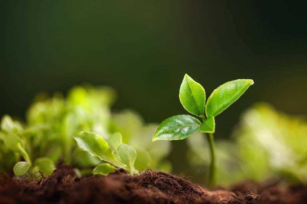 面對土壤污染問題，土壤養(yǎng)分檢測儀告訴你應(yīng)采