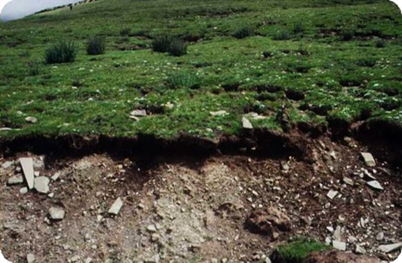 關(guān)于我國土壤修復(fù)行業(yè)面臨的問題及商業(yè)模式分