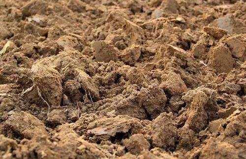 土壤污染的防治，重點(diǎn)監(jiān)管哪些單位