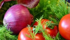 肥料養(yǎng)分檢測儀如何為防控病蟲害“添把力”？