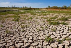 高智能土壤養(yǎng)分檢測儀的使用幫助我們科學種植