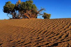 土壤養(yǎng)分速測(cè)儀有什么作用？