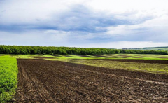 為什么土壤養(yǎng)分檢測儀在種植業(yè)上應用廣泛？