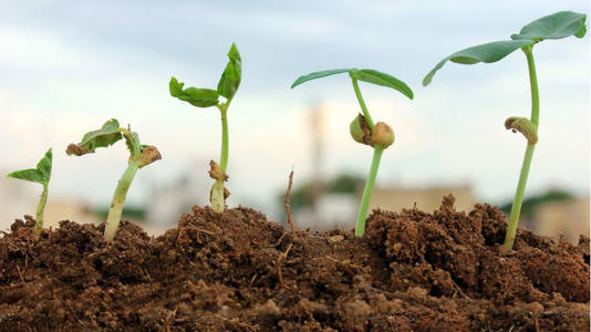 土壤養(yǎng)分檢測儀的優(yōu)勢在哪里？