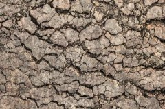 土壤重金屬污染日益嚴(yán)重，如何改善這一狀況