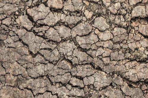 土壤重金屬污染日益嚴重，如何改善這一狀況