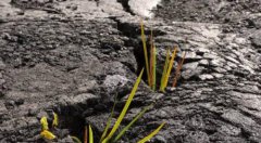 土壤重金屬污染如何修復(fù)？