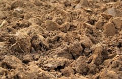 我國的土壤主要有哪些分類呢？