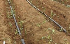 土壤酸堿度測(cè)定儀檢測(cè)酸堿不平衡問(wèn)題