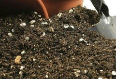 為什么農(nóng)業(yè)生產(chǎn)需要土壤重金屬速測(cè)儀？