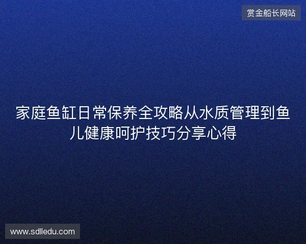 家庭鱼缸日常保养全攻略从水质管理到鱼儿健康呵护技巧分享心得
