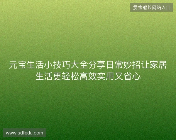 元宝生活小技巧大全分享日常妙招让家居生活更轻松高效实用又省心 元宝生活小技巧大全分享日常妙招让家居生活更轻松高效实用又省心